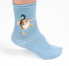 Load image into Gallery viewer, Socks