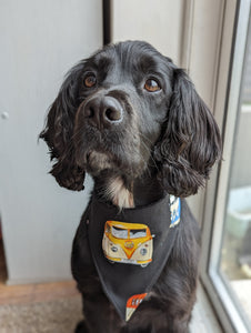 Dog Bandana