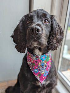 Dog Bandana