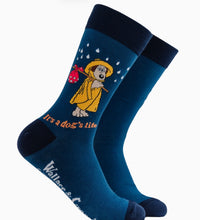 Load image into Gallery viewer, Sock
