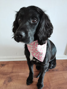 Dog Bandana