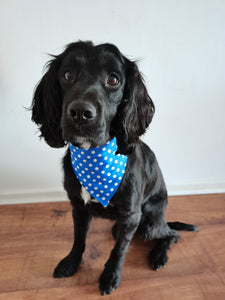 Dog Bandana